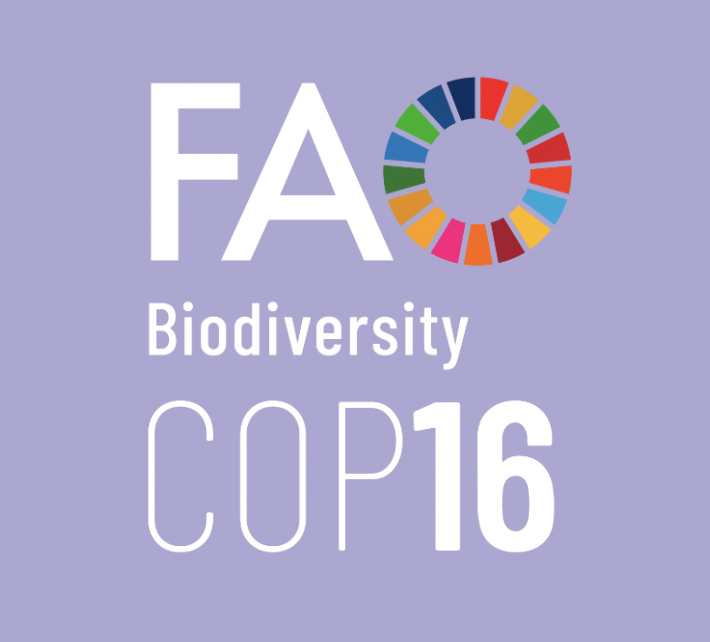 FAO at COP16