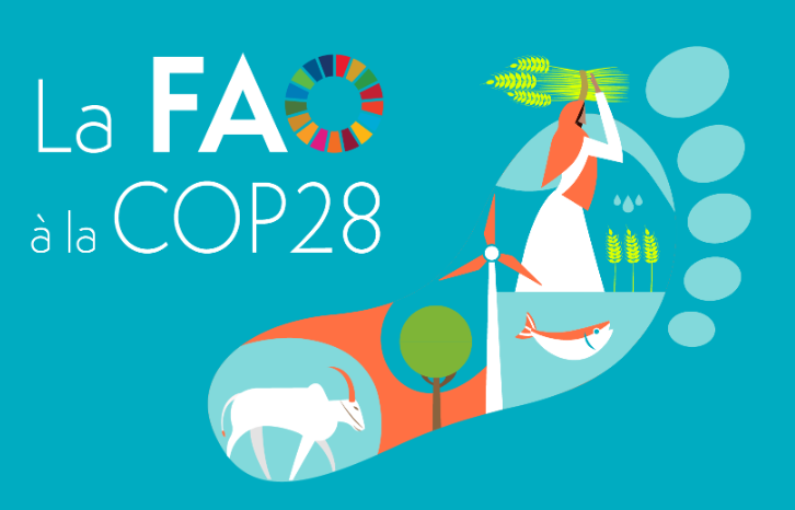 fr-faocop28