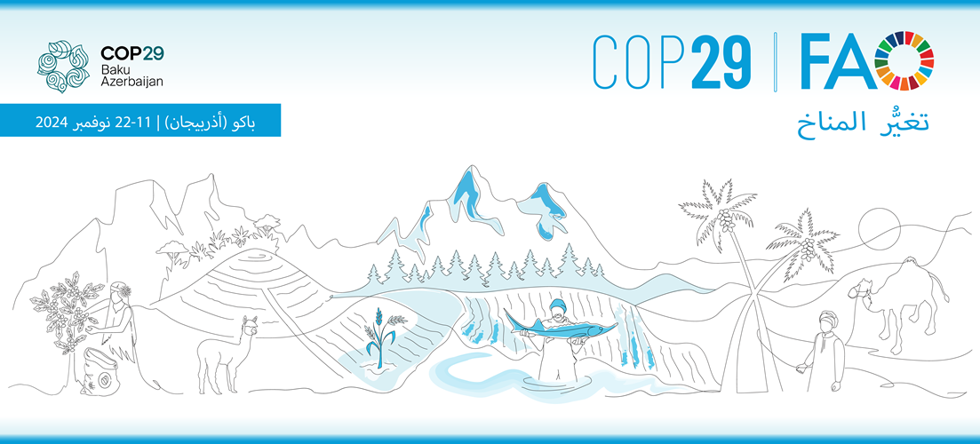 web_banner_COP29_AR