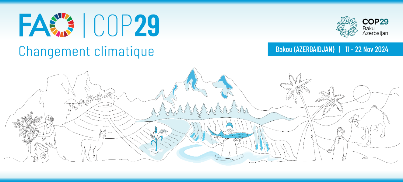 web_banner_COP29_FR zh-faocop28