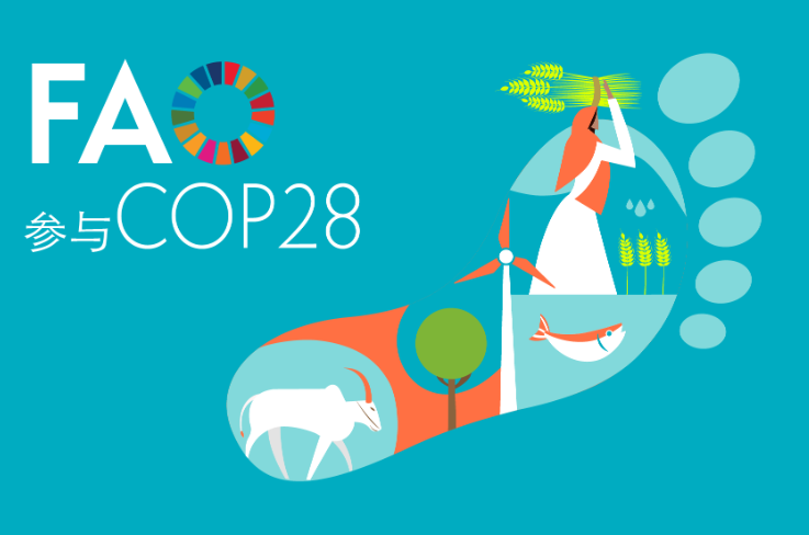 zh-faocop28