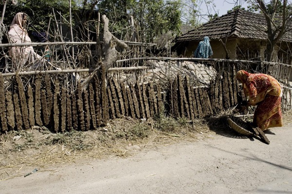 -A-villager-making-biofuel-from-cow-manure-which-dries-in-the-sun-in-Prosadapur-Village-in-the-Gomostapur-District-Bangladesh-