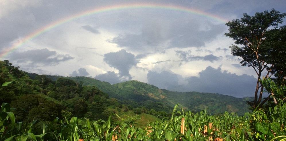 Is Koronivia Joint Work on Agriculture shaping up to be a game changer at COP27?