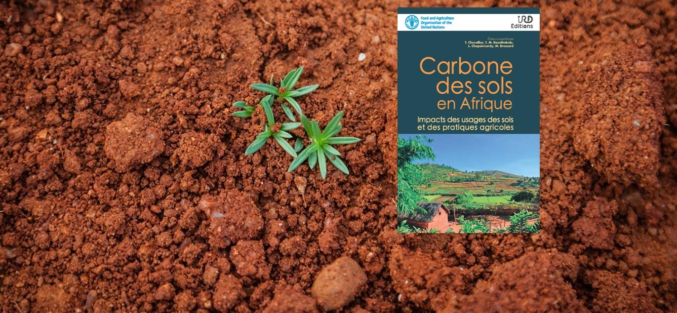 New guide on soil carbon in Africa – the impacts of land use and agricultural practices