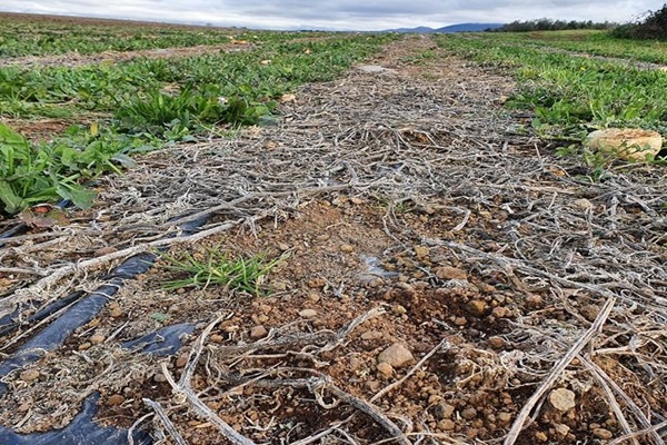 1_plastic-soil