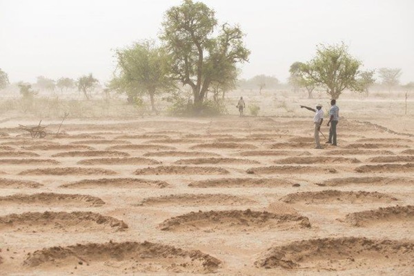 1_sahel