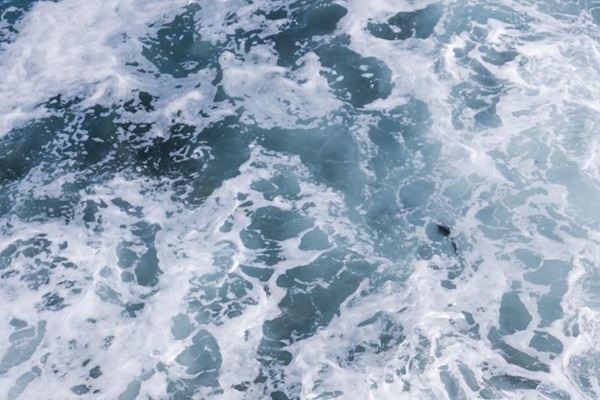 5_sincerely-media-TZt3rIw3yoE-unsplash
