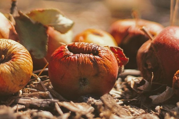 Apples