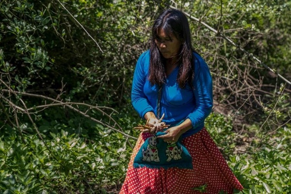 Argentina-Community in the Chaqueño National Park by the Gran Chaco Foundation
