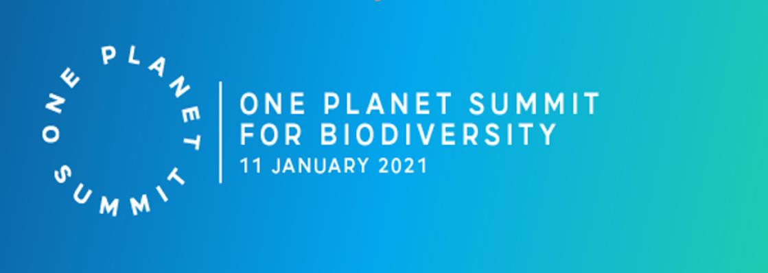 A One Planet Summit for Biodiversity