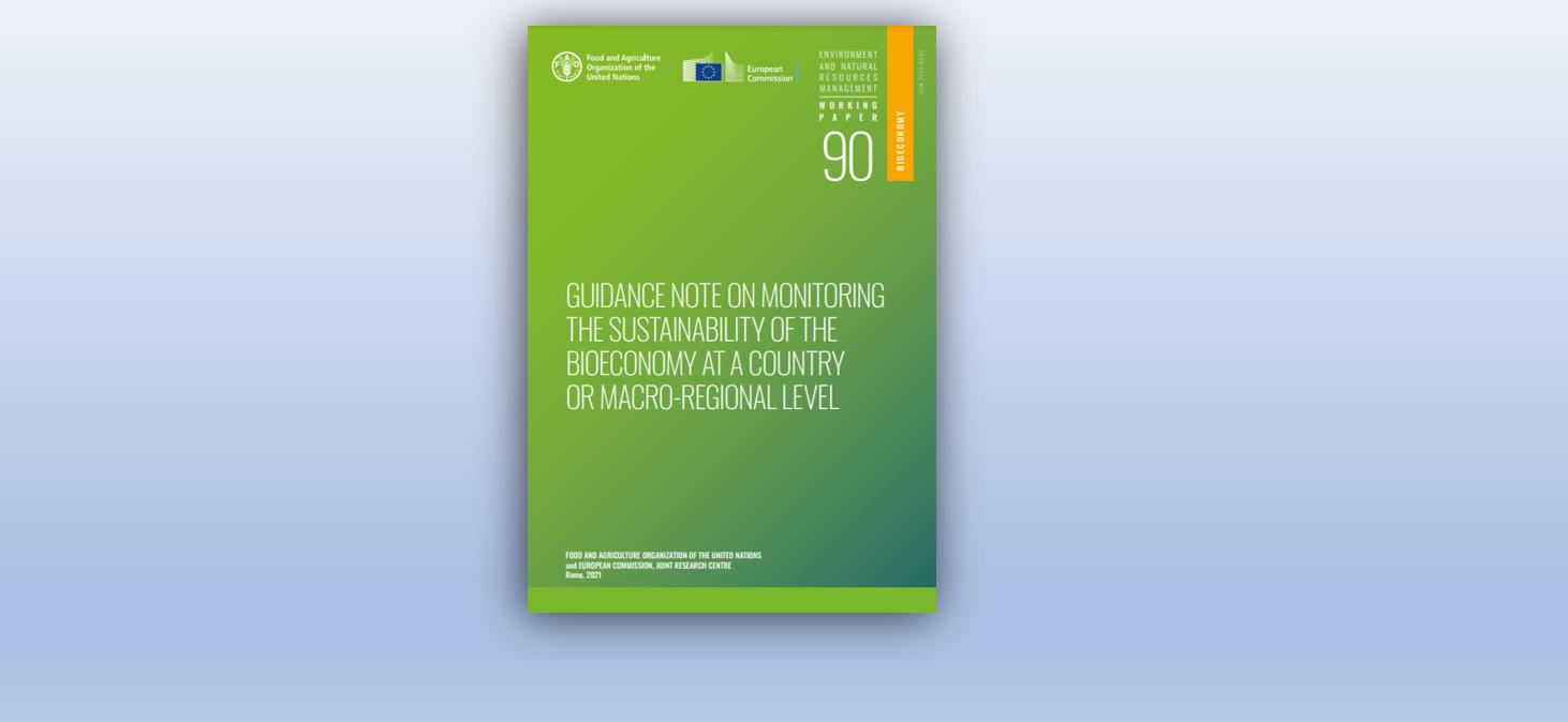 FAO and JRC launch new guidance note on monitoring bioeconomy sustainability