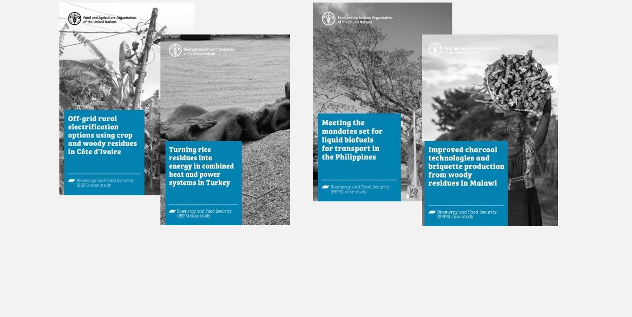 Sustainable bioenergy policies for climate action