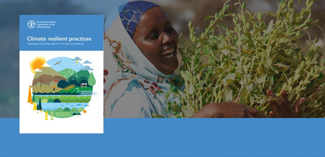 NEW Guidance material for FAO climate risk screening