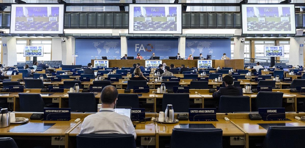 Guidance on the use of agricultural plastics at the 28th Session of FAO’s Committee on Agriculture