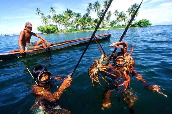 crabs