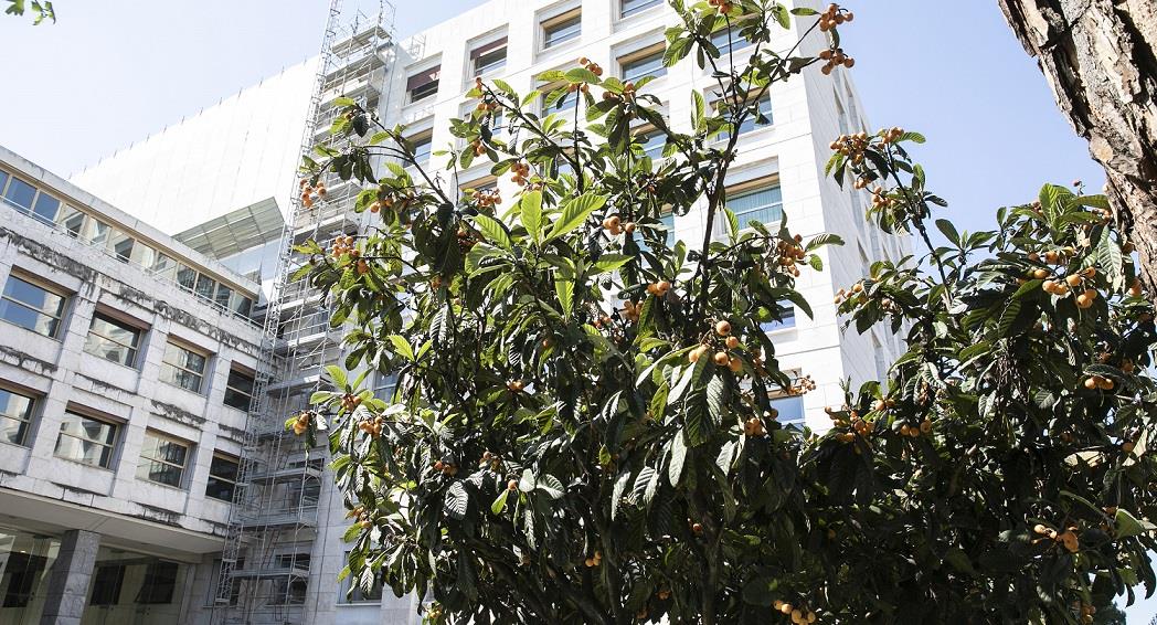 Environmental and Social Safeguards ensure sustainability of FAO projects and programmes