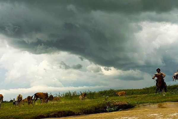 Farmer along the banks of the Tonle Sap River, Cambodia Farmer along the banks of the Tonle Sap River, Cambodia