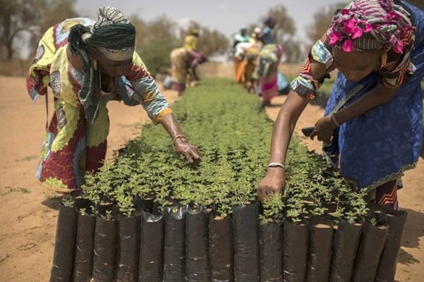 GreatGreenWall_Senegal
