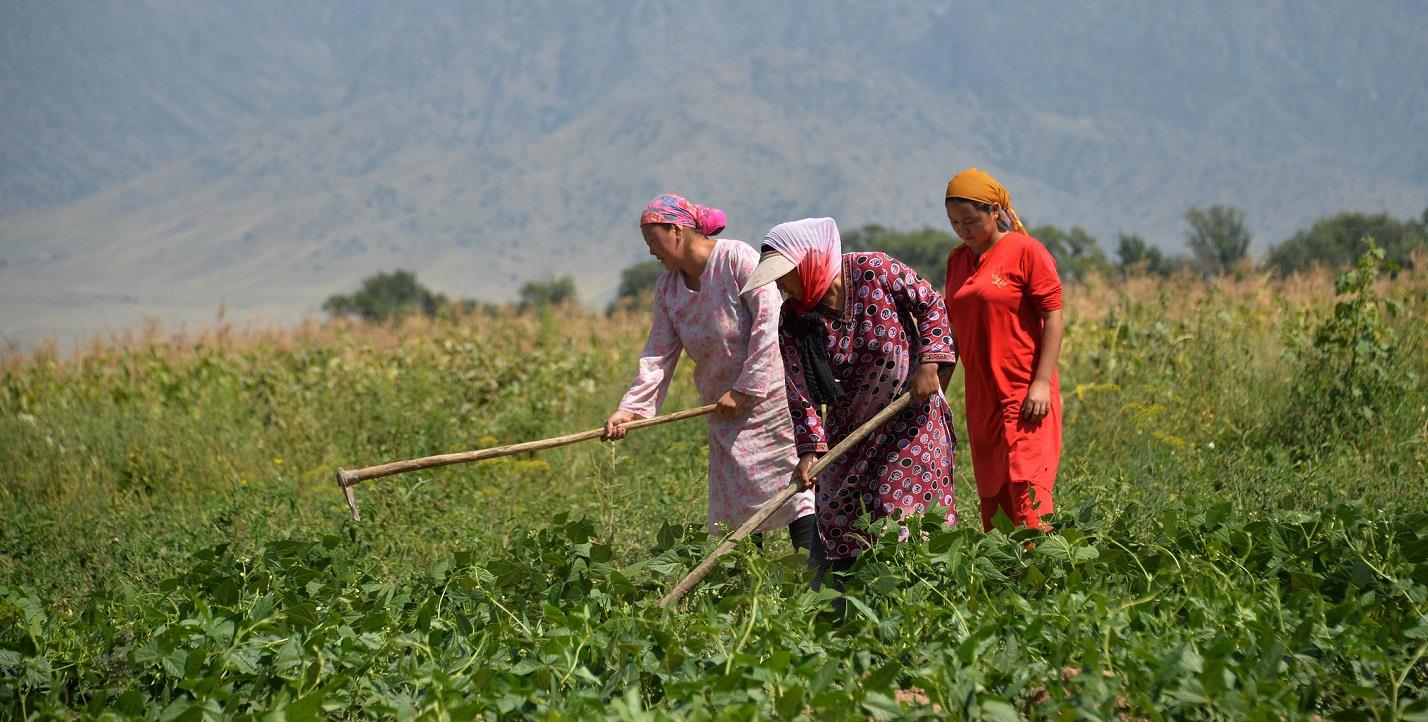 Evidence-based decision-making for Disaster Risk Reduction in the Kyrgyz Republic