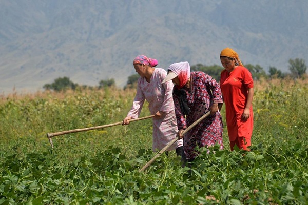 kyrgyz3