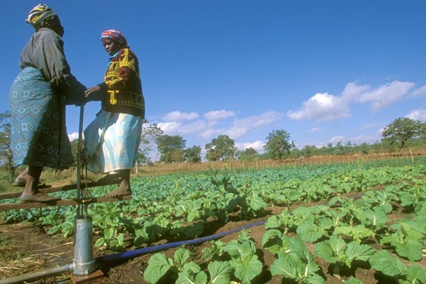 Malawi