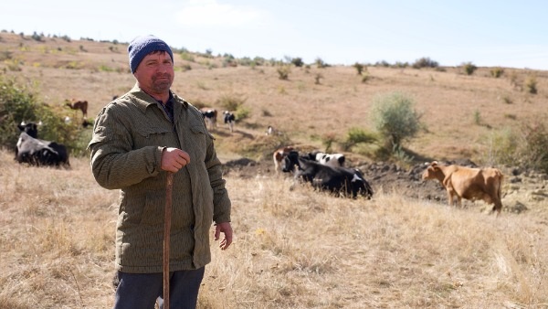 moldova-fodder-1