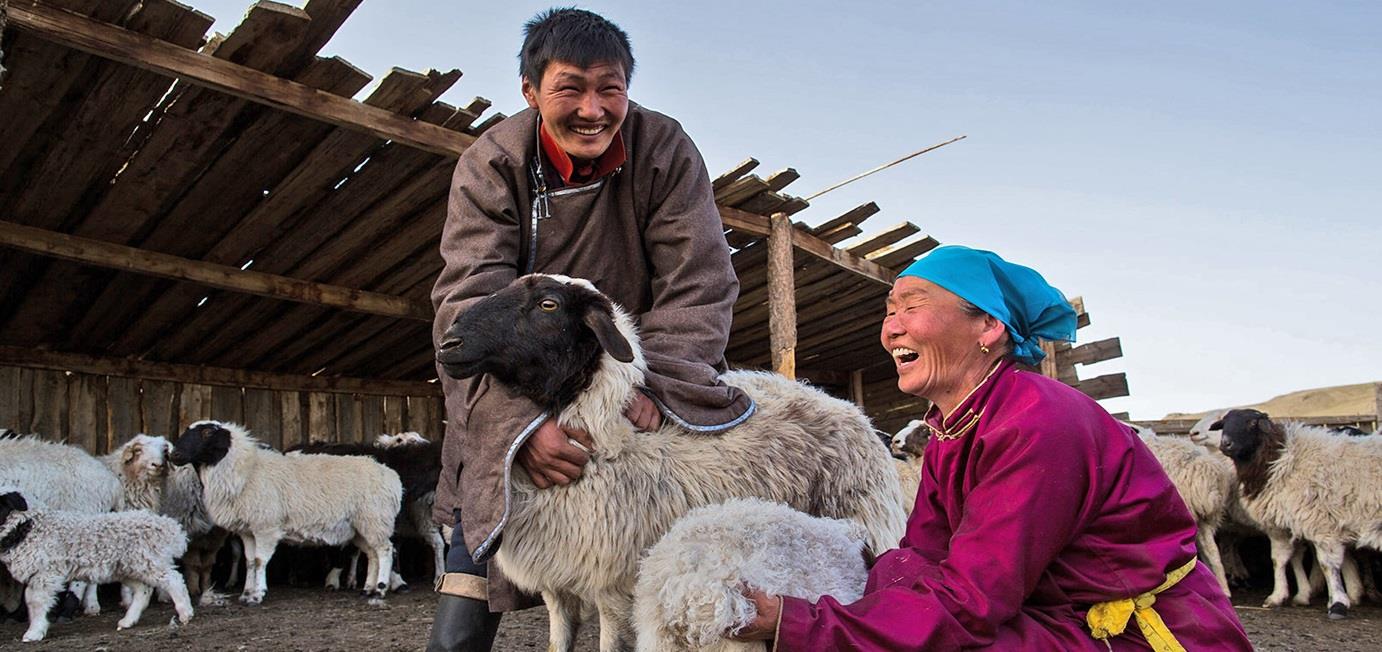 FAO hosts webinar on mainstreaming climate risk management in agricultural finance