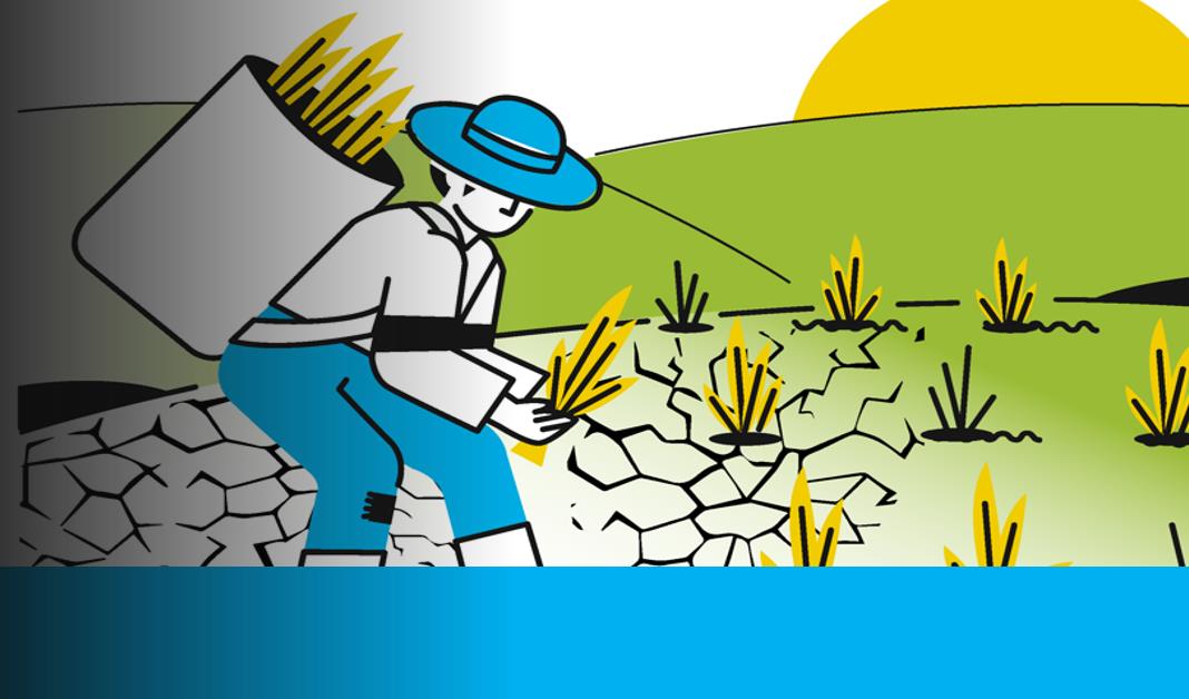 Pre-COP 2021: FAO paves the way to COP 26