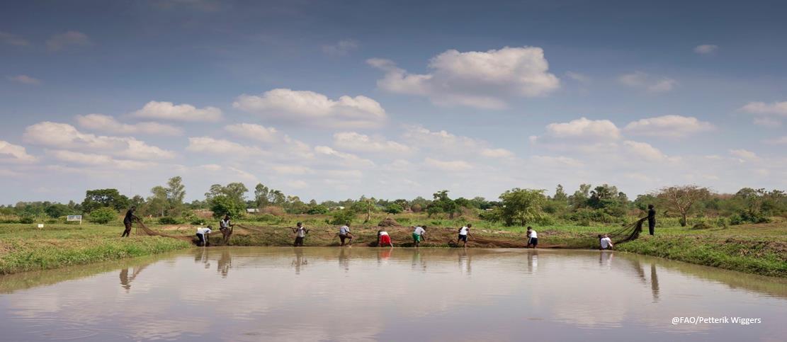 Agrometeorological information for resilient agri-food systems