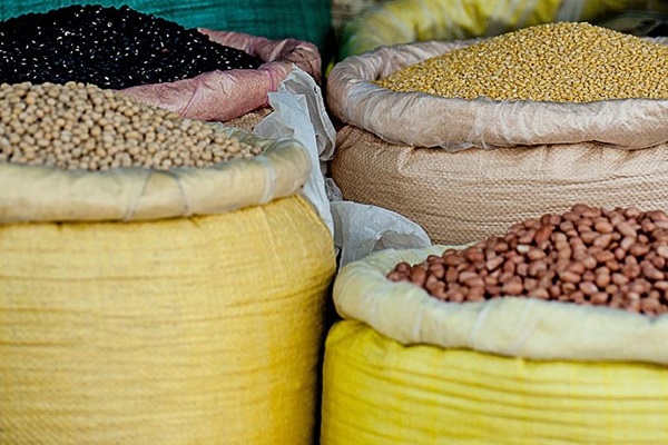 seeds3