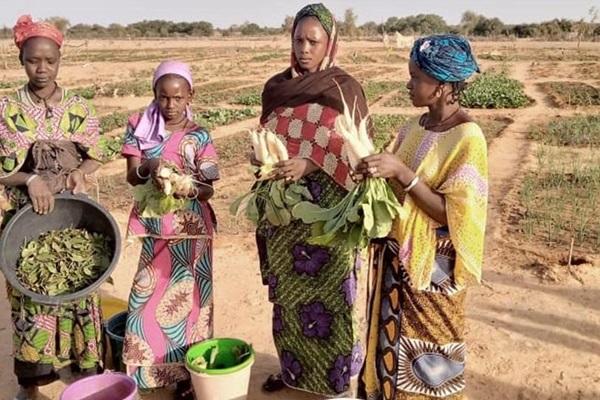 Senegal2