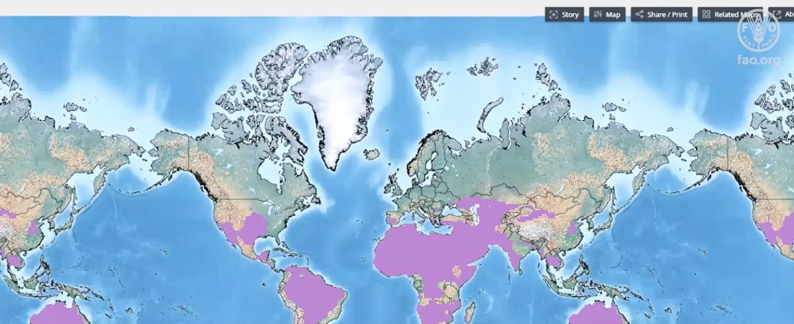 FAO’s Climate Risk Toolbox highlighted at IPPN’s Knowledge Café
