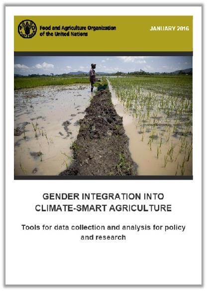 1_GenderCSA
