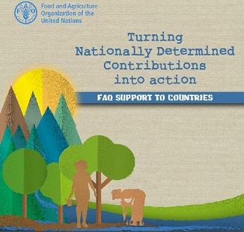 1_NDCs-into-action