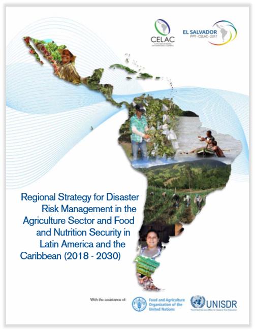 1_Regional-strategy-for-DRM