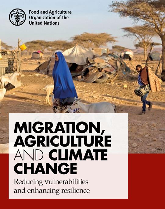 2_migration-book