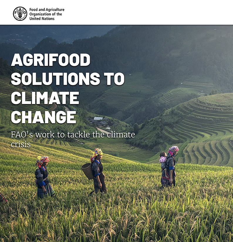 Agrifood Systems Solutions_cover