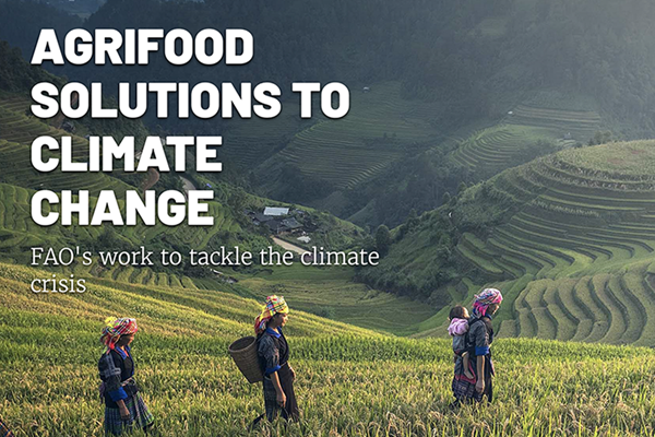 Agrifood Systems Solutions_cover