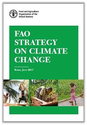 climatechange strategy-shadow