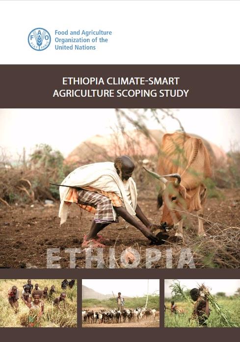 ethiopiaCSA