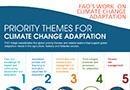 FAO-Adapt_infographic_small