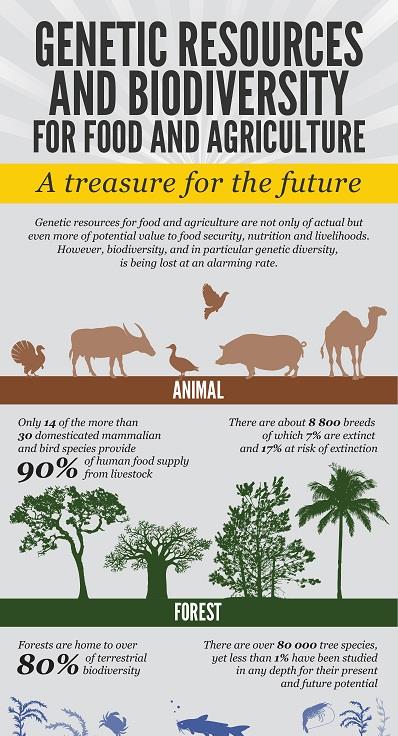 FAO-Infographic-CGRFA30-en