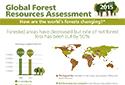 FAO-Infographic-GFRA2015-en_small
