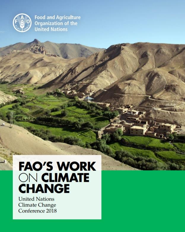 FAO-work on cc