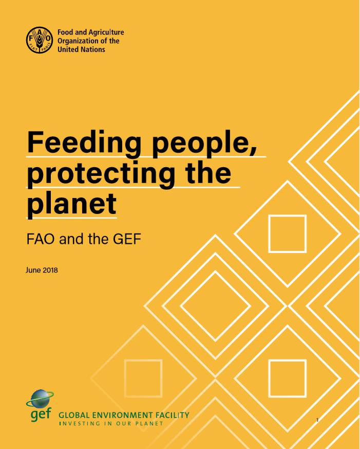 feeding people