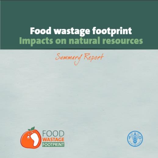 food_wastage