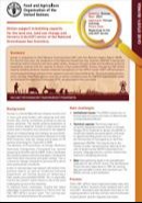 Guinea-case-study