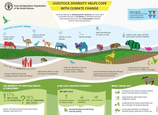 livestock diversity