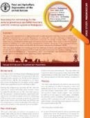 madagascar-case-study