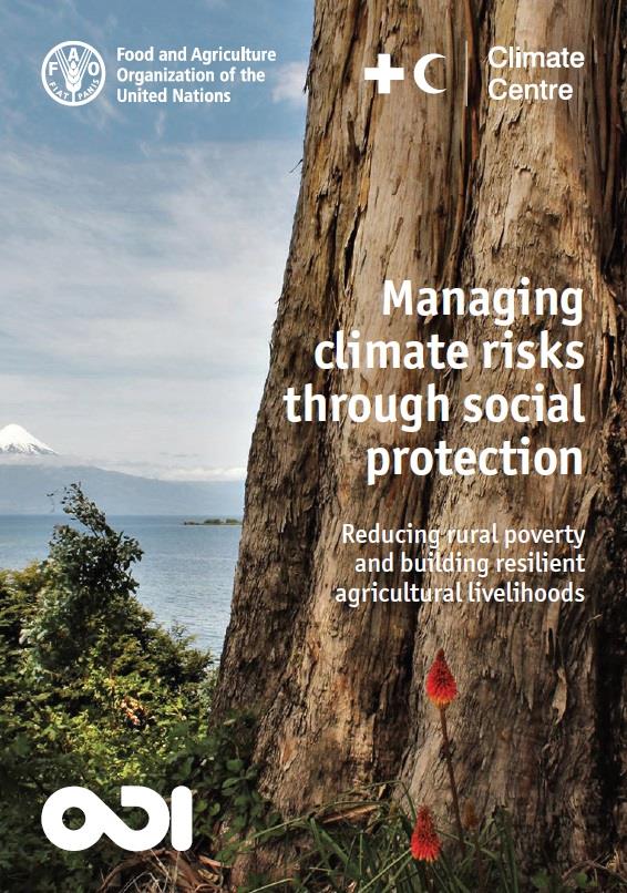 Managing-risk